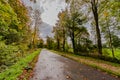 Large pedestrian path with dry leaves between trees and vegetation in a nature reserve