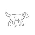 Large pedigree dog labrador retriever. Line art style character vector black white isolated illustration. Royalty Free Stock Photo