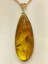 A large pendant of transparent amber with insects inside from the Baltic Sea Royalty Free Stock Photo