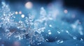 Large photo of snowflakes, winter theme