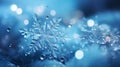 Large photo of snowflakes, winter theme