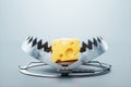 A large piece of cheese in a bear trap, close-up. The concept of a trap, cheating, credit, free cheese in a mousetrap. 3D render,