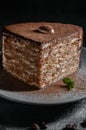 A large piece of chocolate-nut cake sprinkled with cocoa. On a gray plate with a sprig of mint. Close-up. Dark photo Royalty Free Stock Photo