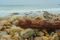 A large piece of driftwood lies on the beach. Large, water-worn stones lay on a rocky, rugged shoreline. Royalty Free Stock Photo