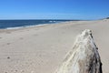 Large piece of driftwood on rocky coastal beach