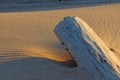 Large piece of driftwood on rocky coastal beach