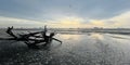 Large piece of driftwood sitting on top of a beach at sunset. The warm light of the sunset casts a golden glow over the driftwood