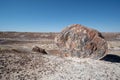 Large piece of petrified wood split that has now turned the prehistroic log into crystal stone minerals at the Petrified Forest