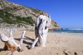 Large pieces of driftwood on the beach Royalty Free Stock Photo