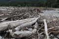 large pieces of driftwood washed ashore on a pebbled beach of a mountain river