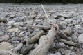 large pieces of driftwood washed ashore on a pebbled beach of a mountain river