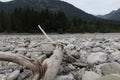 large pieces of driftwood washed ashore on a pebbled beach of a mountain river