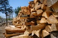 A large pile of birch wood. Chopped firewood. Version2 Royalty Free Stock Photo