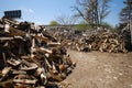 A large pile of birch wood. Chopped firewood. Version 3 Royalty Free Stock Photo