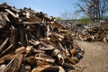 A large pile of birch wood. Chopped firewood. Version 4 Royalty Free Stock Photo