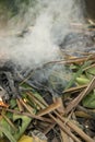 A large pile of burning branches and leaves with smoke.