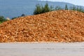 Large pile of corn drying