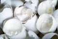 Large Pile Of Cracked Egg Shells Close Up Royalty Free Stock Photo