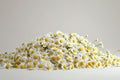 A large pile of daisies isolated on a white background, suggesting a concept of abundance or floral art. The image is