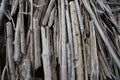 Driftwood on the lake shore.