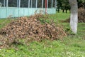 Large pile of dry branches on street. Close up of heap of rubbish from dried logs on ground.