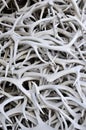 Large pile of Elk antlers. Royalty Free Stock Photo