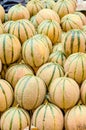 Large pile of, honey dew melon , for sale Royalty Free Stock Photo