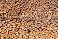 Large pile of logs Royalty Free Stock Photo