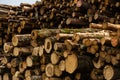 Large pile of logs ready to be shipped by boat.. Royalty Free Stock Photo