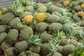 A large pile of ripe pineapples delivered to a fruit market. Wholesale pineapple trade Royalty Free Stock Photo