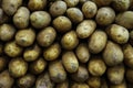 Large pile of Russet potatoes at the Farmers Market, popular vegetable for mashing, boiling or baking Royalty Free Stock Photo