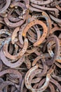 Large pile of rusty used Horseshoes Royalty Free Stock Photo