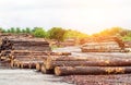 A large pile of timber logs at a woodworking plant, a sawmill, beam