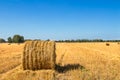 Large Piles of Hay Bales Royalty Free Stock Photo