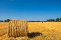 Large Piles of Hay Bales Royalty Free Stock Photo