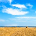 Large Piles of Hay Bales Royalty Free Stock Photo