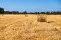 Large Piles of Hay Bales Royalty Free Stock Photo