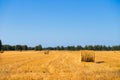 Large Piles of Hay Bales Royalty Free Stock Photo