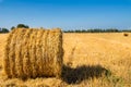 Large Piles of Hay Bales Royalty Free Stock Photo