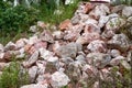 Large piles of rubble produced by blasting mountains in the wild