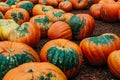 Large Piles Scattering of Orange Pumpkins Royalty Free Stock Photo