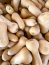 Large piles scattering of small pumpkins and gourds Royalty Free Stock Photo