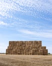 Large piles of stacked straw bales in the noerth of france