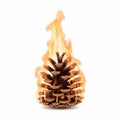 Large pine cone on fire, engulfed in bright flames Royalty Free Stock Photo