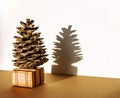 A large pine cone on a wooden podium and its shadow on a white background
