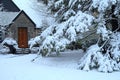 Large pine tree covered in snow in front yard of old house