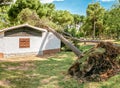 large pine tree falls on a roof of a small private house. Storm and natural disaster concept