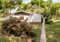 large pine tree falls on a roof of a small private house. Storm and natural disaster concept