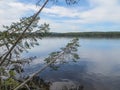 Large pine trees bent over the lake surface. Summer water landscape. Blue sky and clear water of Lake Pyaozero with reflected clou Royalty Free Stock Photo