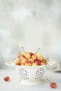 large pink cherries in a white colander Royalty Free Stock Photo
